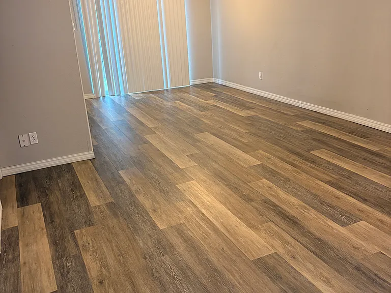 Living / Dining Area