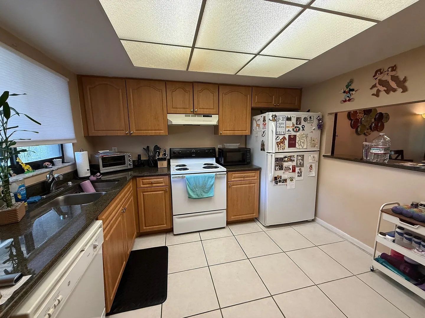 Condo located in the beautiful gated community of Carrolwood Place — Photo 2