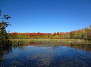 18041 Dobbyn Rd, Atlanta, MI 49709