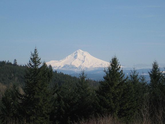 Mt. Hood Views!