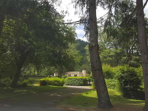 Private driveway bordered by Douglas fir.
