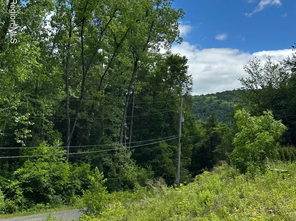 0 Stone Ledge Road, Hillsdale, NY 12529