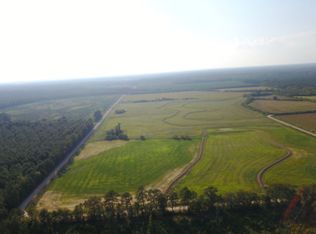 1398 Howard Ln, Mamou, LA 70554