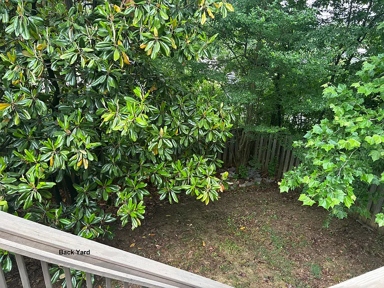 Backyard