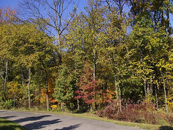 2nd image of Beck Rd