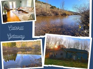 1316 Old River Rd, Roxbury, NY 12474