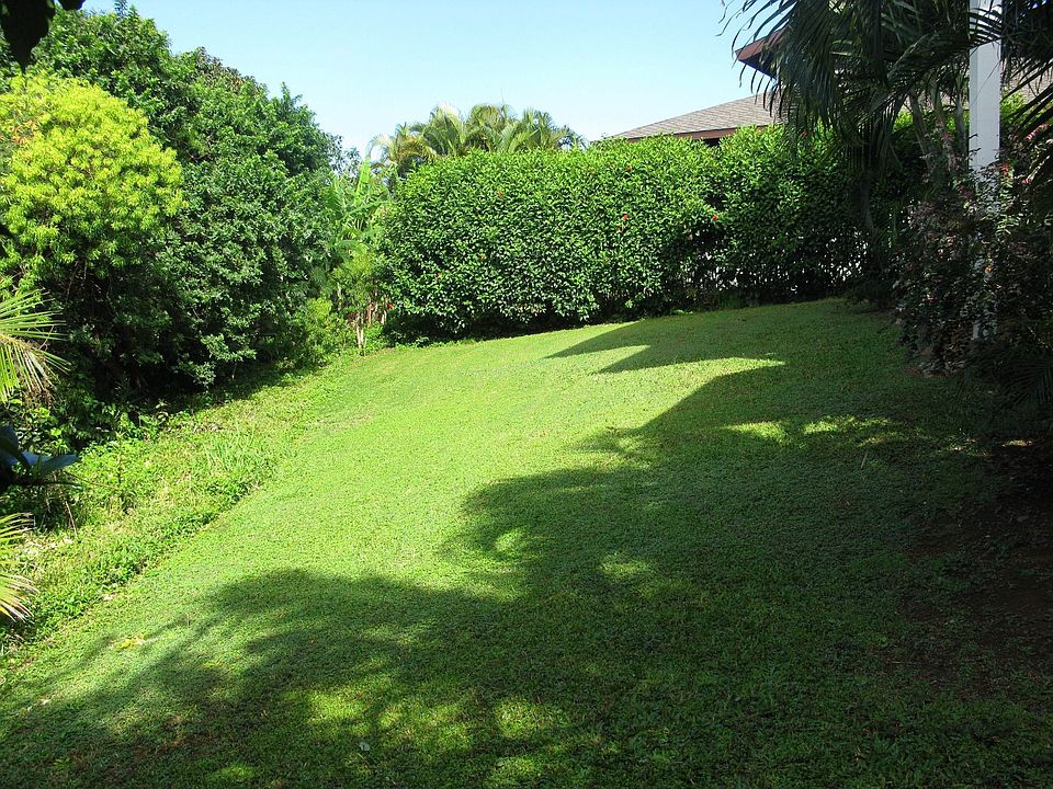 Level private back yard