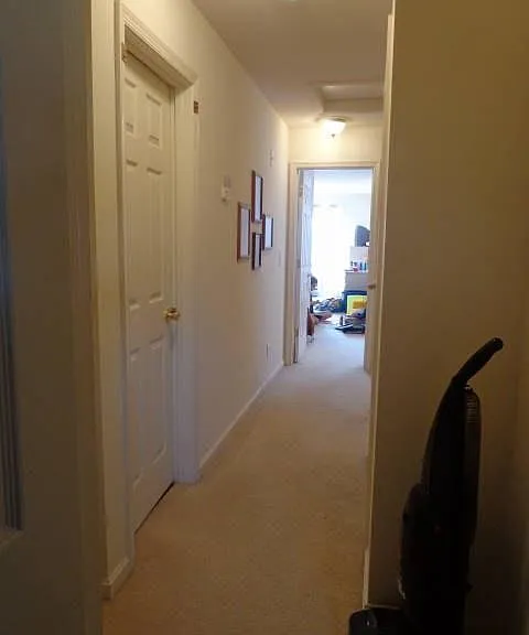 35129 Saba Pl — Photo 13