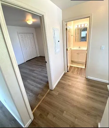 1147 Tabby Ln — Photo 10