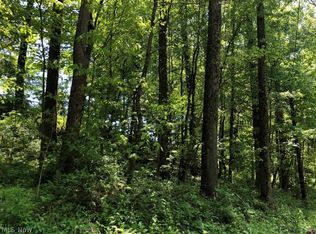 Cool Springs Rd, New Concord, OH 43762