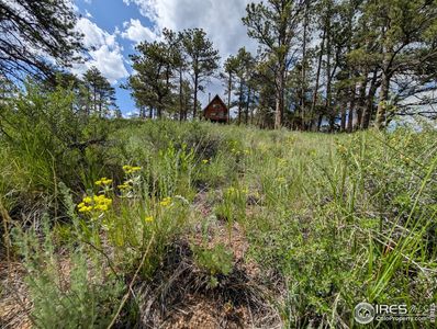 2898 Red Ashby Rd, Livermore, CO, 80536