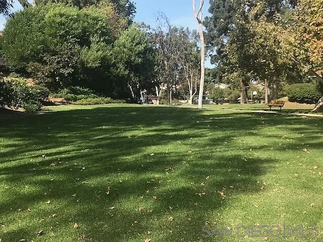 7892 Camino Glorita — Photo 15