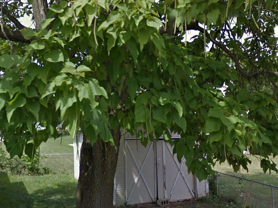 2nd image of 1220 E Butler St