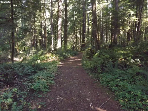 63119 E Mountain Country Ln, Brightwood, OR 97011