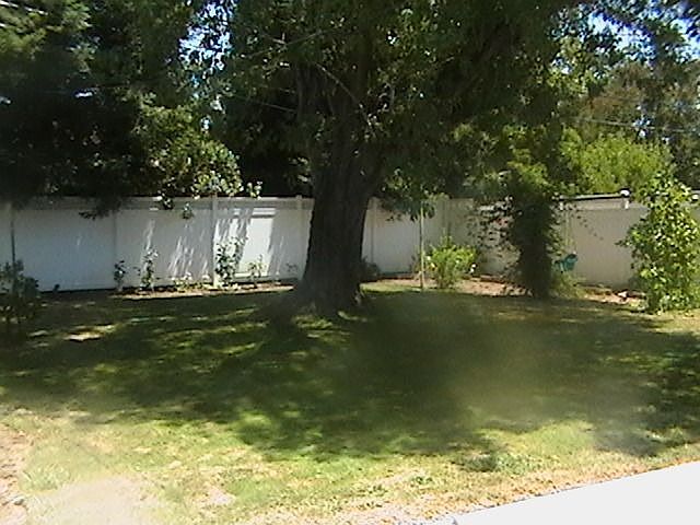 Large Backyard