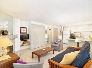 935 E Hopkins Ave #6, Aspen, CO 81611