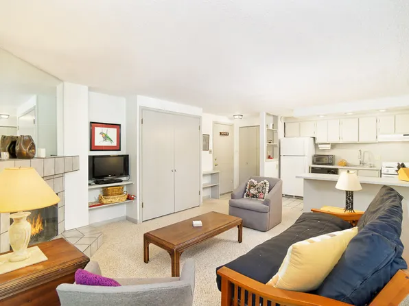 935 E Hopkins Ave #6, Aspen, CO 81611