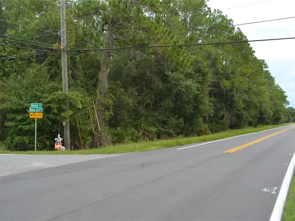 DEEN STILL ROAD W, POLK CITY, FL 33868