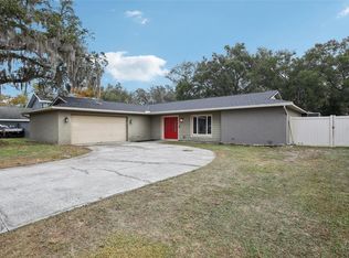 14107 N Briarthorn Dr, Tampa, FL 33625