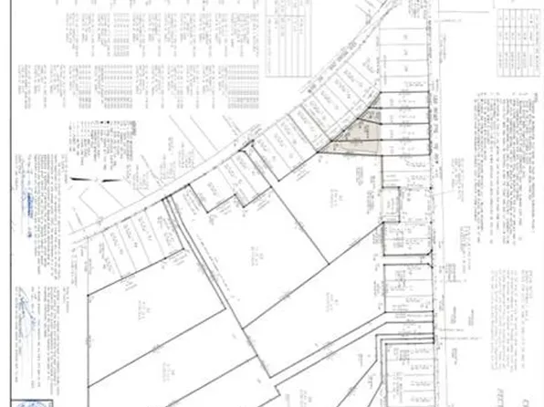 0 Lee Road 270, Cusseta, AL 36852