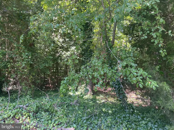 1209 Poplar Ave, Shady Side, MD 20764