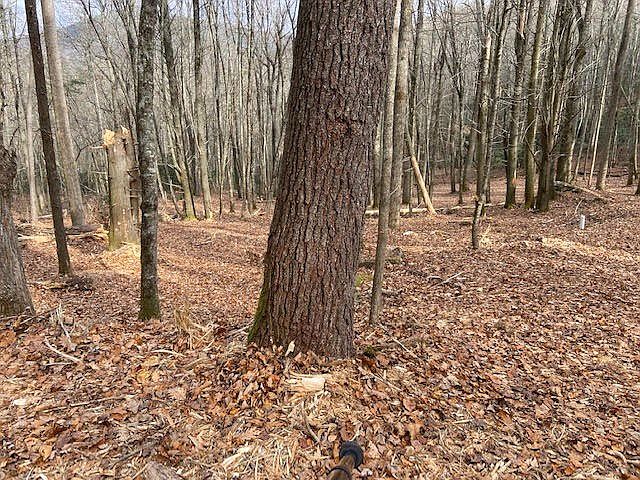 2nd image of 7222 Buck Creek Rd