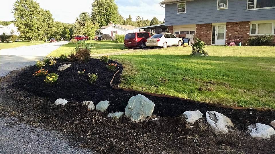 front yard/driveway