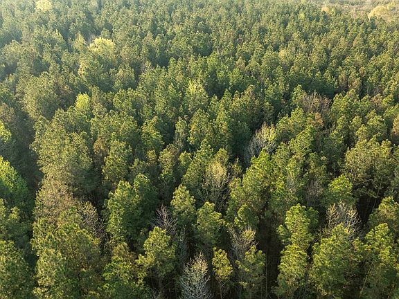 2nd image of 0 Sand Hill Rd #1