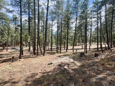 36 Spruce Loop, Jemez Springs, NM, 87025