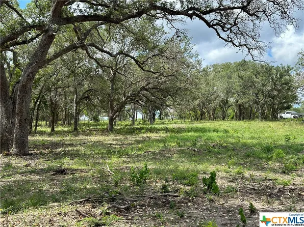 1776 Fm 1351, Goliad, TX 77963