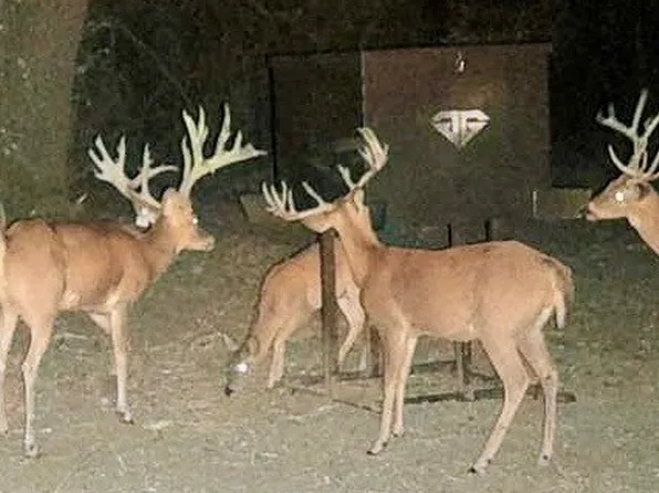 County Road 135, May, TX 76857