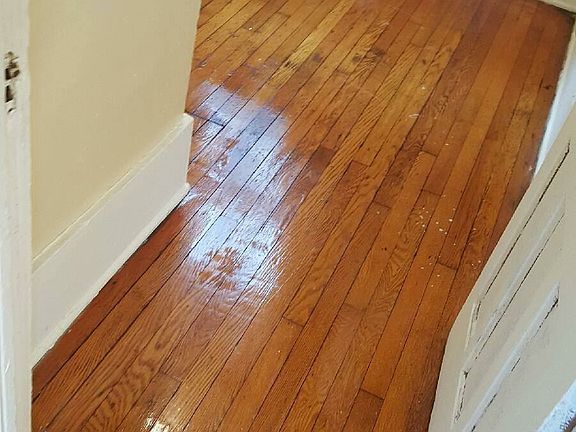 16251684_1286427488085464_3014722725491048907_o