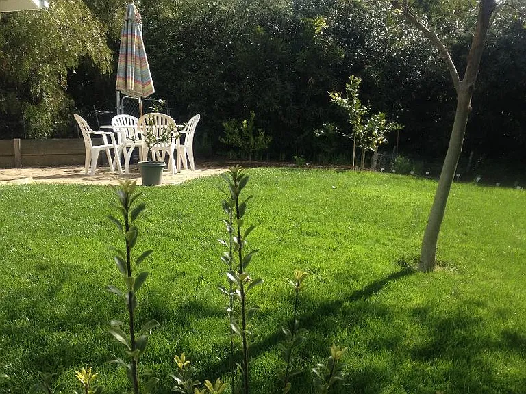 Backyard.