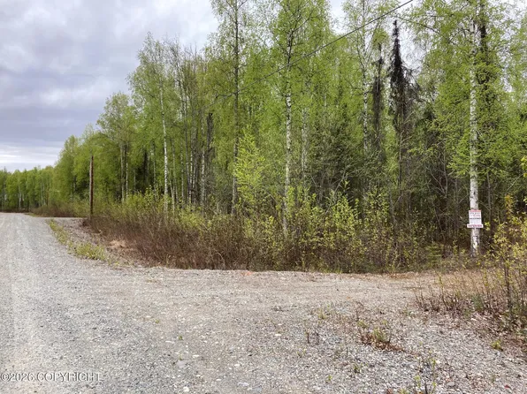 47138 S Merlin Dr, Talkeetna, AK 99676