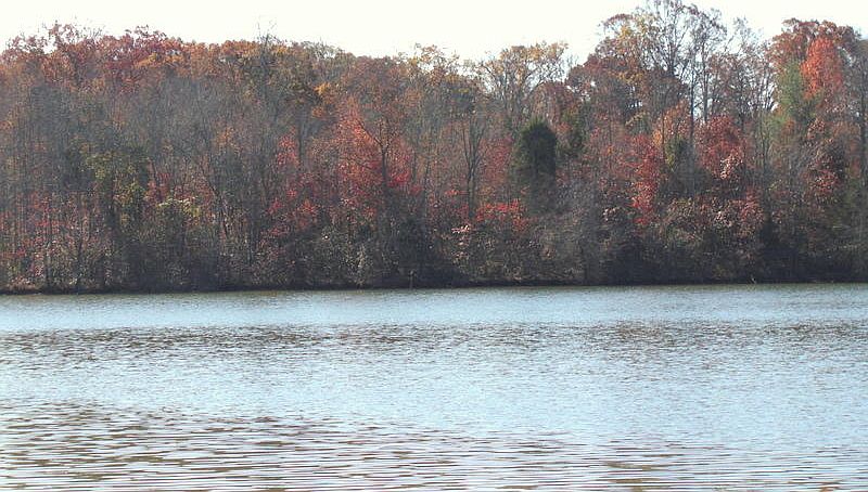 1st image of 160 Pin Oak Dr Lot 10