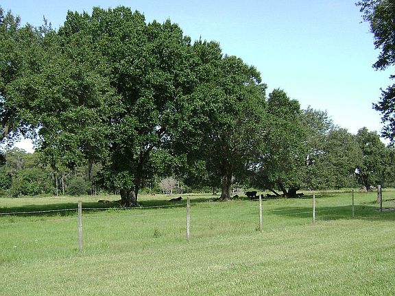 Fenced Pasture