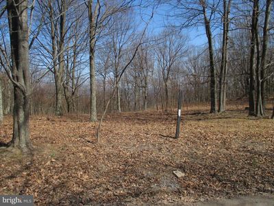 16334 Laurelhurst Blvd, Cresaptown, MD, 21502