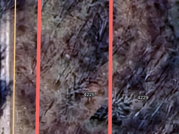 4225 Pattentown Rd, Ooltewah, TN 37363