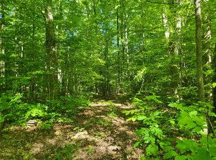 8700 N Vandermeulen Rd, Lake City, MI