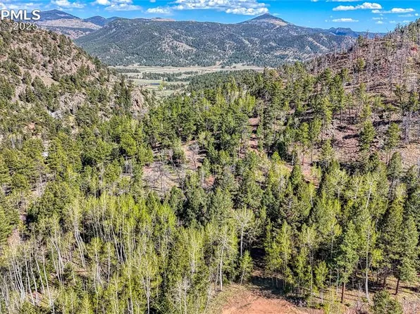 56 Fir Ln, Florissant, CO 80816