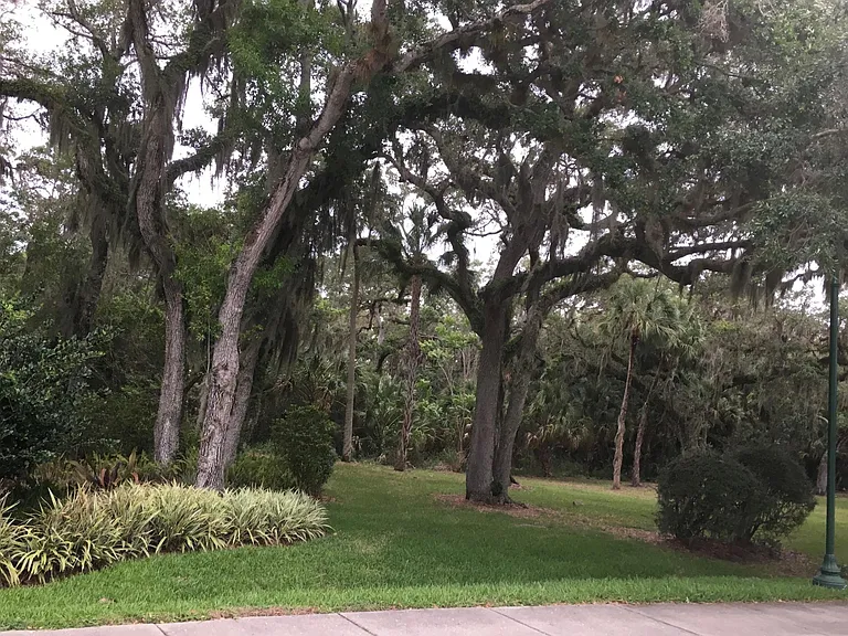 Lake Village Dr — Photo 26