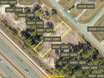 198 Meadow Rd, Lehigh Acres, FL, 33973