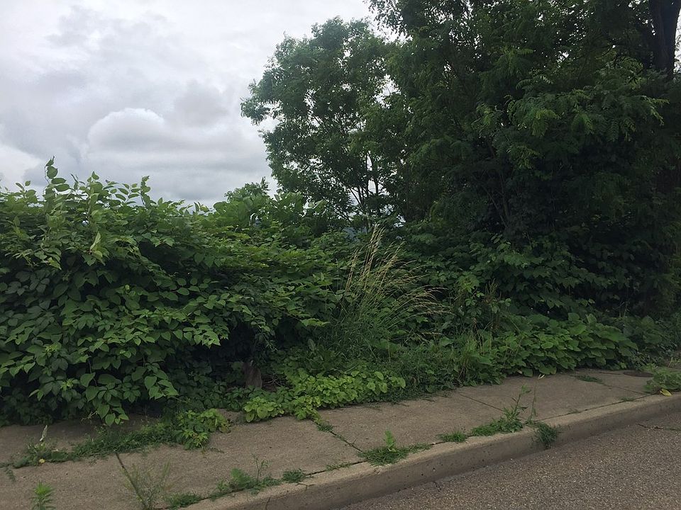 2nd image of 2220 Lane E