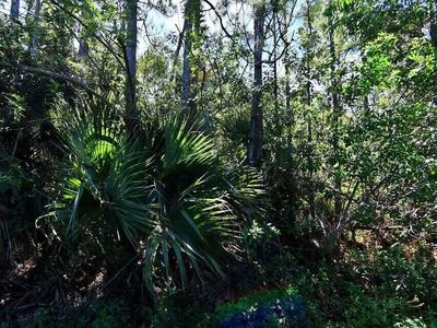 0 Macquillen Road, Pt Saint Lucie, FL, 34952