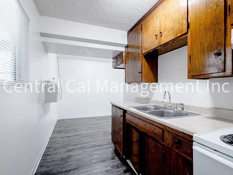 2334 Dracena St — Photo 5