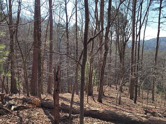 2nd image of 1790 Newport Dr