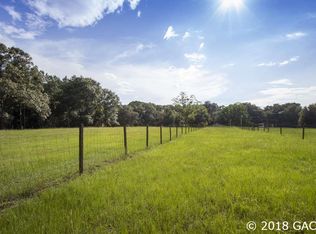 3816 NW 143rd St, Newberry, FL 32669