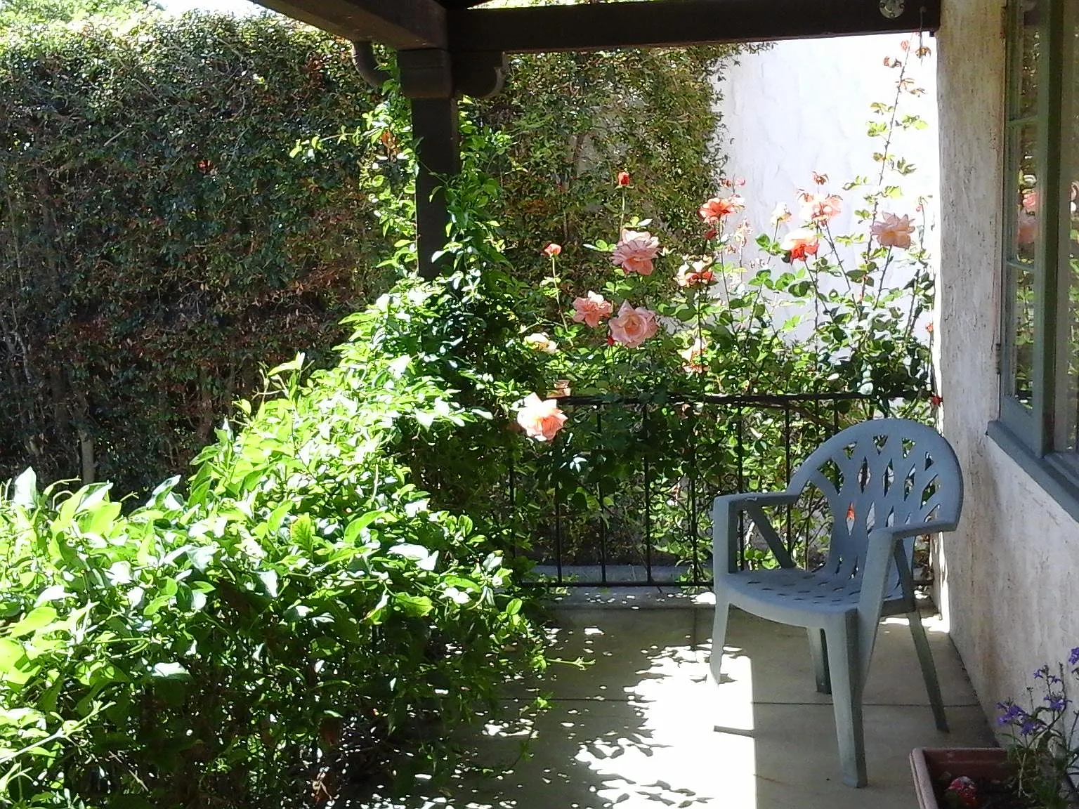 E Cota Street, Santa Barbara — Photo 2