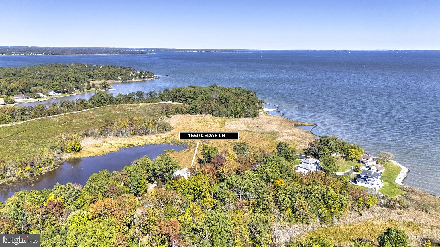 1650 Cedar Ln photo 1