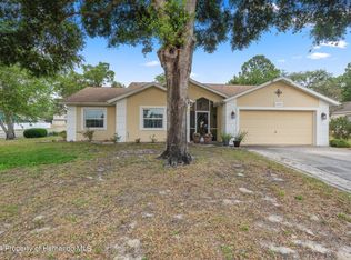 11393 Sagamore St, Spring Hill, FL 34609